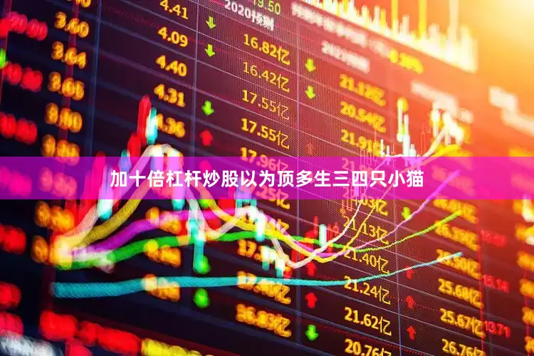 加十倍杠杆炒股以为顶多生三四只小猫