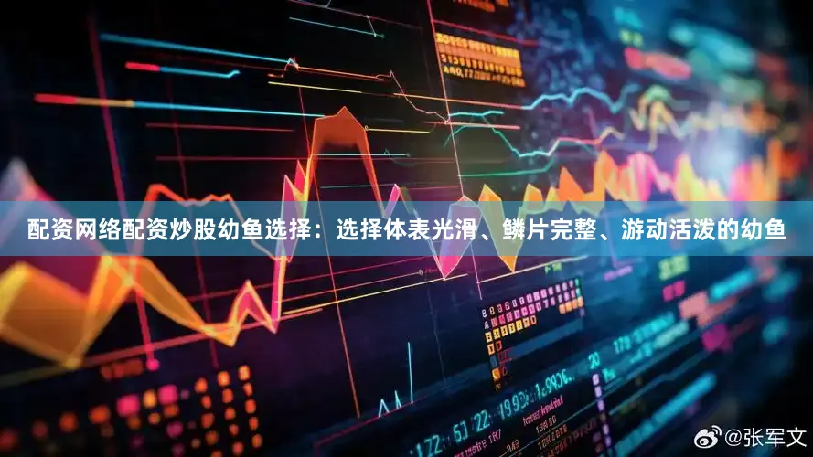 配资网络配资炒股幼鱼选择：选择体表光滑、鳞片完整、游动活泼的幼鱼