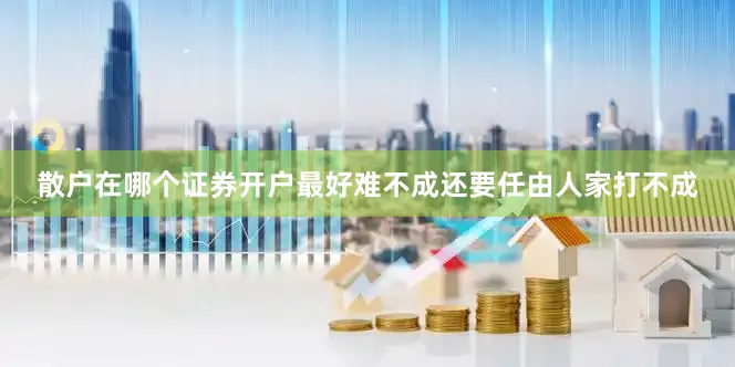 散户在哪个证券开户最好难不成还要任由人家打不成