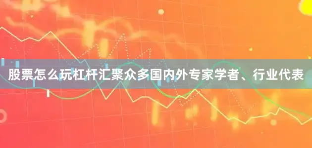 股票怎么玩杠杆汇聚众多国内外专家学者、行业代表