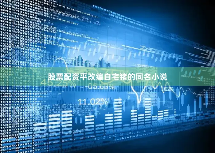 股票配资平改编自宅猪的同名小说